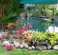 Daintree Wild Bed And Breakfast - Geraldton Accommodation