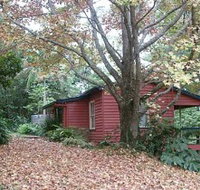 Turkeys Nest Rainforest Cottage - Geraldton Accommodation