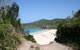 @ Forster - thumb 1