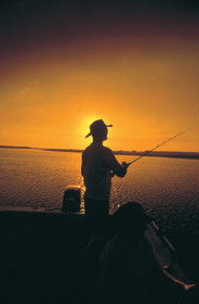 Point Stuart Wilderness Lodge - Geraldton Accommodation 0