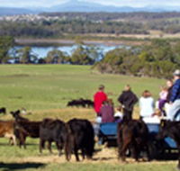 Bonny Brae - Geraldton Accommodation