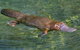 Eilean Donan Gardens - thumb 0