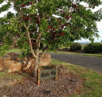 Belle Vue Studio - Geraldton Accommodation