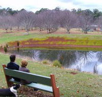 Chestnut Glade - Geraldton Accommodation