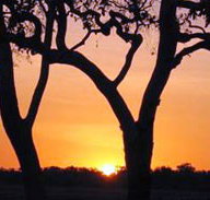 Coodardie Station Stay - Geraldton Accommodation