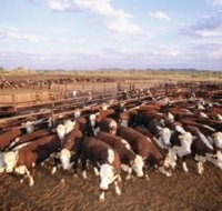 Bond Springs Outback Retreat - Geraldton Accommodation