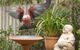 Wattle Court  Retreat - thumb 0