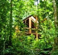 Fur'N'Feathers Rainforest Tree Houses - Geraldton Accommodation