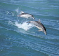 Seachange - Geraldton Accommodation