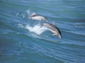 Seachange - Geraldton Accommodation 0