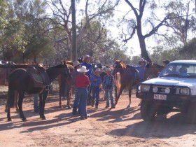 Evening Star Tourist Park - Geraldton Accommodation 0