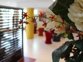 Ibis Newcastle - Geraldton Accommodation 24