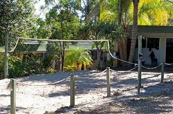 Nomads Noosa Backpackers Hostel - Geraldton Accommodation 8