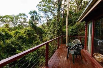 Kondalilla Eco Resort - Geraldton Accommodation 0