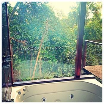 Kondalilla Eco Resort - Geraldton Accommodation 10