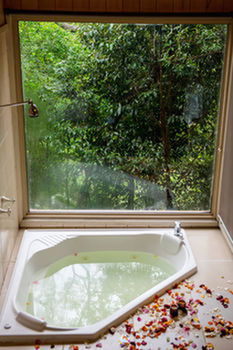 Kondalilla Eco Resort - Geraldton Accommodation 17