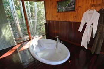 Kondalilla Eco Resort - Geraldton Accommodation 21