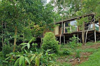 Kondalilla Eco Resort - Geraldton Accommodation 22