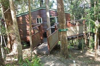Kondalilla Eco Resort - Geraldton Accommodation 27