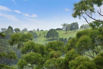 Kondalilla Eco Resort - Geraldton Accommodation 28