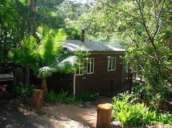 Kondalilla Eco Resort - Geraldton Accommodation 30