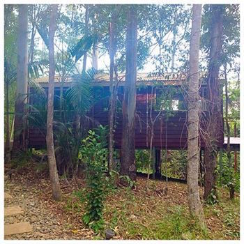 Kondalilla Eco Resort - Geraldton Accommodation 32