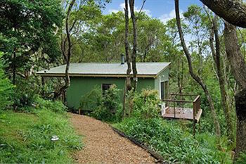 Kondalilla Eco Resort - Geraldton Accommodation 34