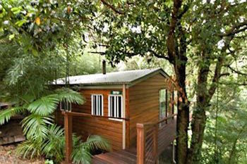Kondalilla Eco Resort - Geraldton Accommodation 35
