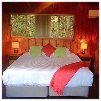 Kondalilla Eco Resort - Geraldton Accommodation 42