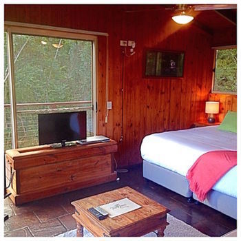 Kondalilla Eco Resort - Geraldton Accommodation 50