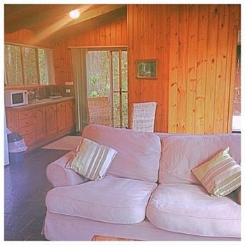 Kondalilla Eco Resort - Geraldton Accommodation 81