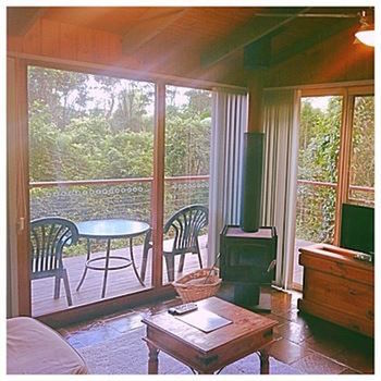 Kondalilla Eco Resort - Geraldton Accommodation 89
