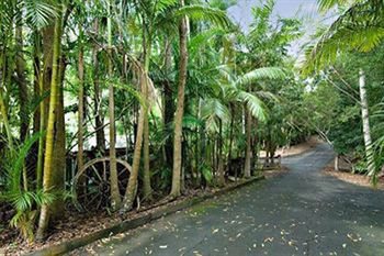 Kondalilla Eco Resort - Geraldton Accommodation 94