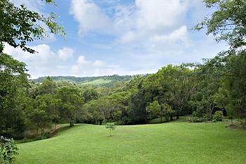 Kondalilla Eco Resort - Geraldton Accommodation 97