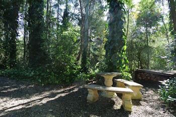 Kondalilla Eco Resort - Geraldton Accommodation 98