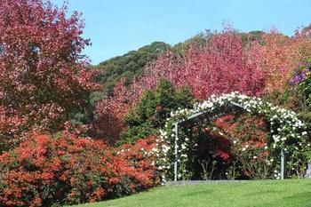 Terrigal Hinterland Bed And Breakfast - Geraldton Accommodation 11