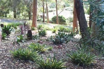Terrigal Hinterland Bed And Breakfast - Geraldton Accommodation 20