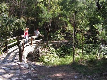 Glass House Mountains Ecolodge - Geraldton Accommodation 9