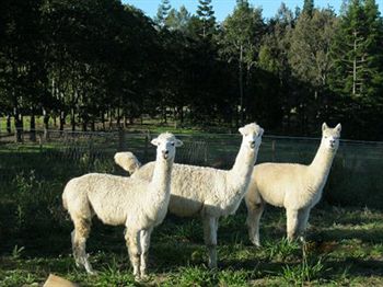 Beerwah QLD Geraldton Accommodation