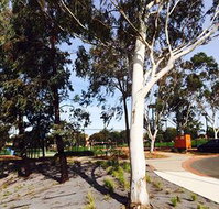 Box Hill Studios at Canterbury Gardens