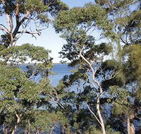 The Edgewater Bed amp Breakfast - Geraldton Accommodation
