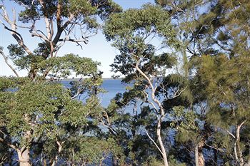The Edgewater Bed & Breakfast - Geraldton Accommodation 0