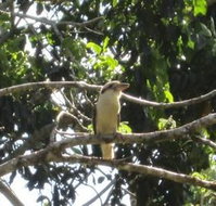 Sunshine Valley Cottages - Geraldton Accommodation