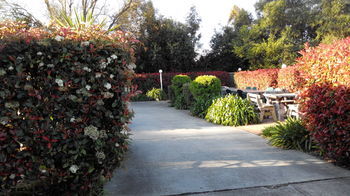 Branxton House Motel, Hunter Valley - Geraldton Accommodation 13