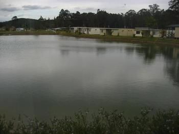 Australian Motor Homes Tourist Park - Geraldton Accommodation 3