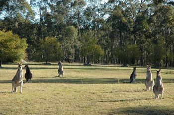 Hunter Hideaway Cottages - Geraldton Accommodation 14