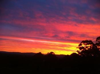 Rothbury Escape - Geraldton Accommodation 11