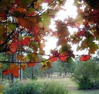 Elfin Hill Country Accommodation - Geraldton Accommodation