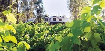 Spicers Vineyards Estate - Geraldton Accommodation 3