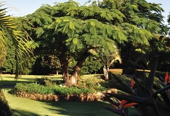 Peppertree Cottage - Geraldton Accommodation 10